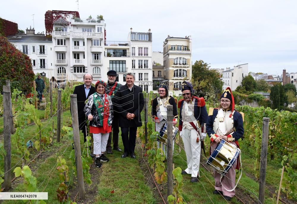 Clos Montmartre Grape Harvest - Paris