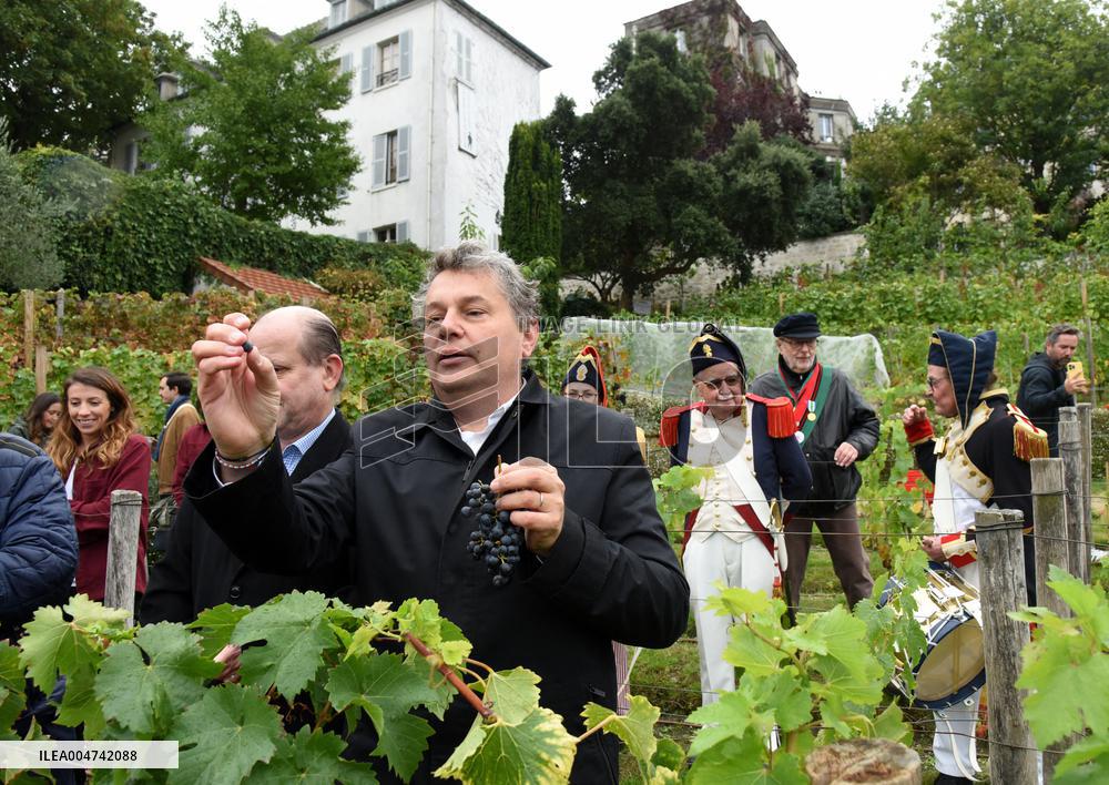 Clos Montmartre Grape Harvest - Paris