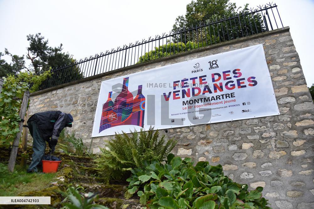 Clos Montmartre Grape Harvest - Paris