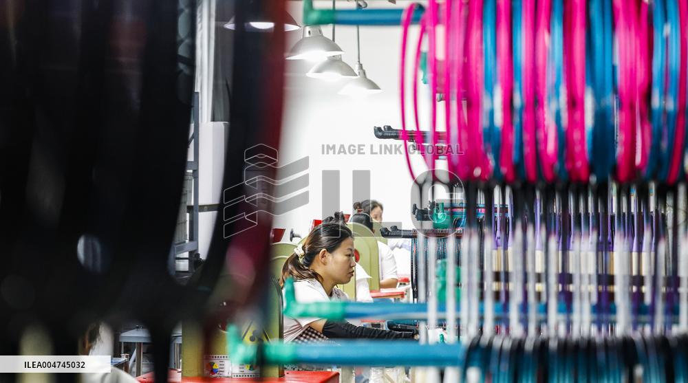 Sports Products Manufacturing Industry in Suqian