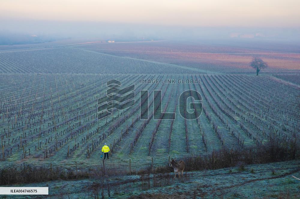 Illustration - Gironde