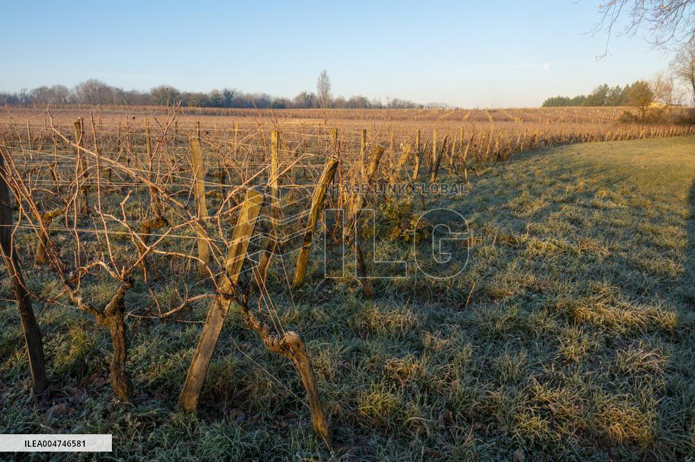 Illustration - Gironde