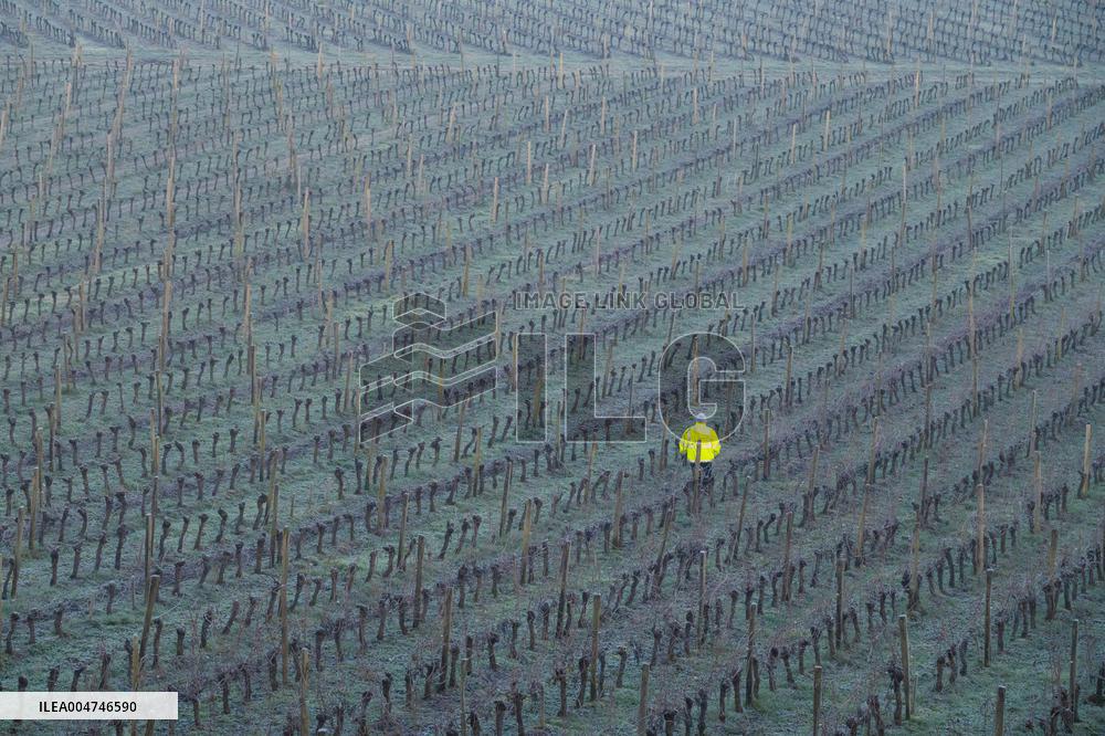 Illustration - Gironde