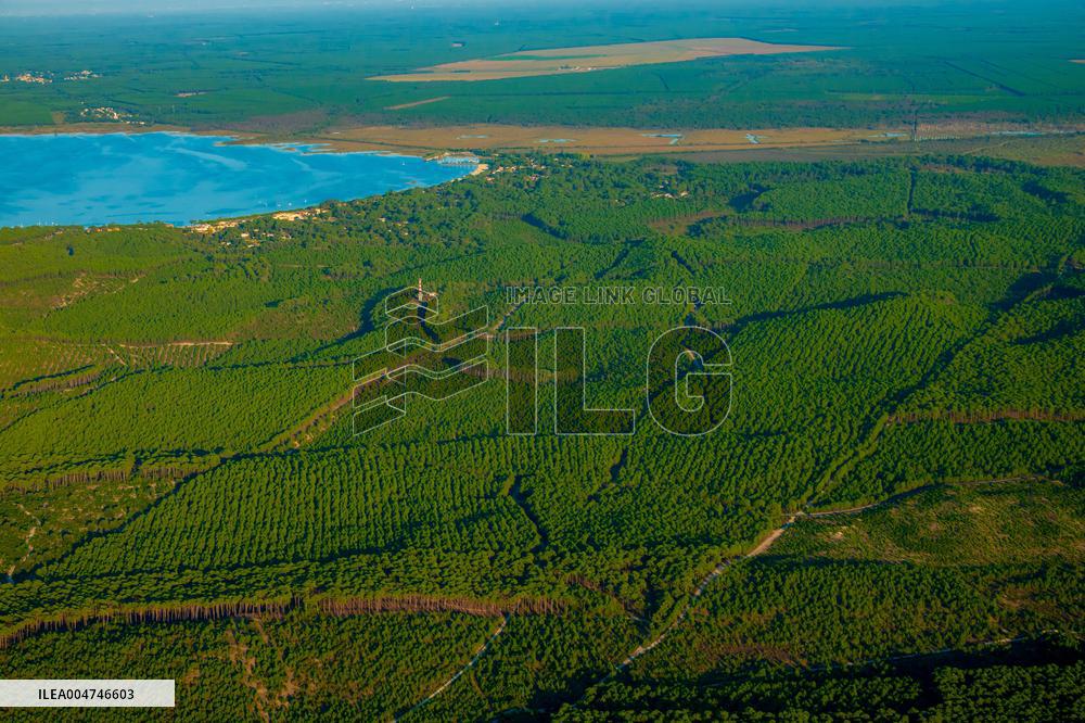 Illustration - Gironde