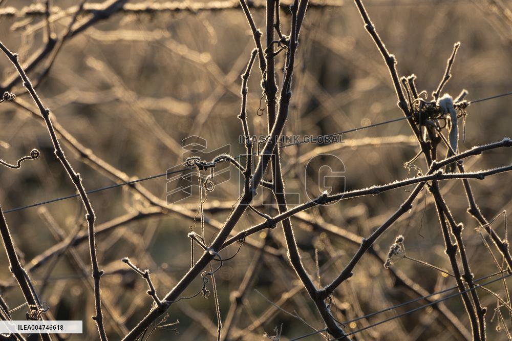Illustration - Gironde