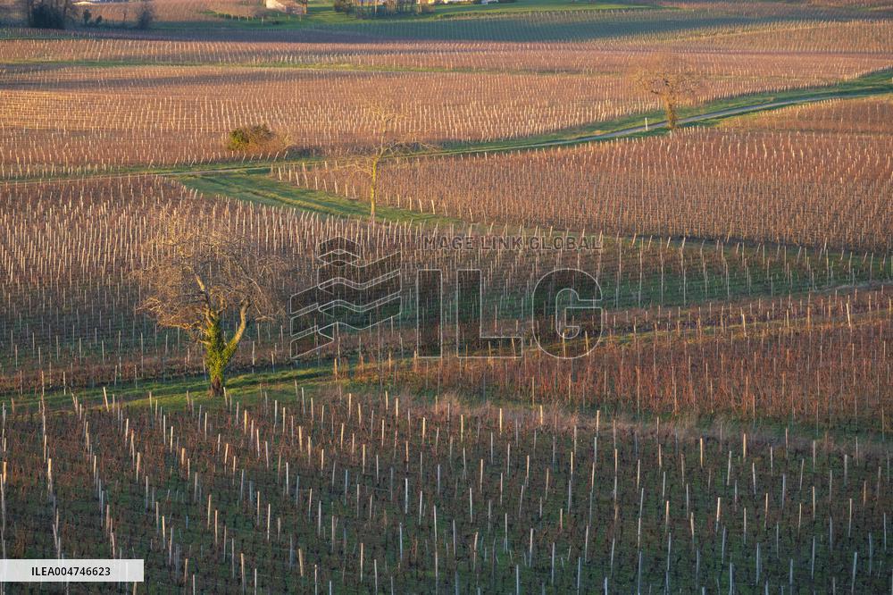 Illustration - Gironde