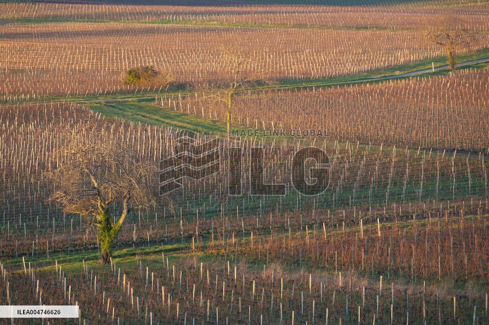 Illustration - Gironde