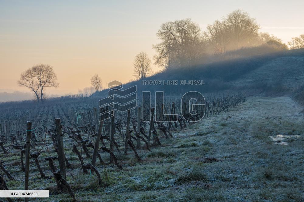 Illustration - Gironde