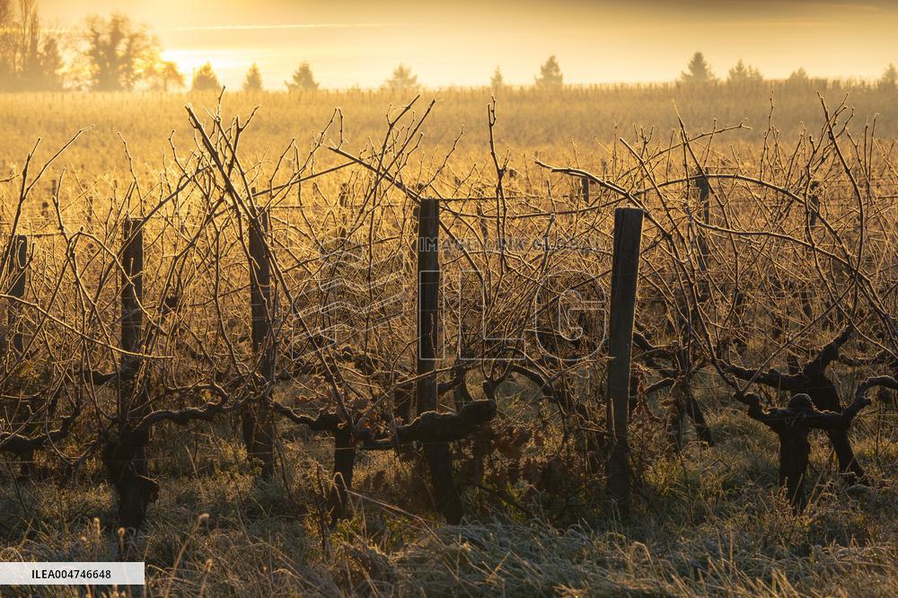 Illustration - Gironde