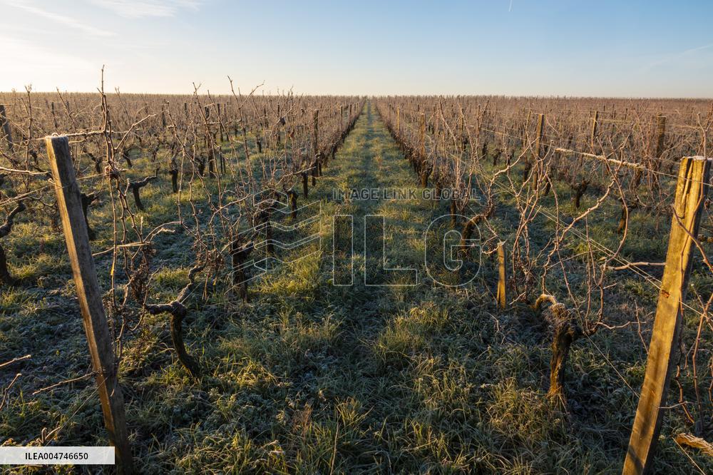 Illustration - Gironde