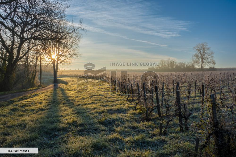 Illustration - Gironde