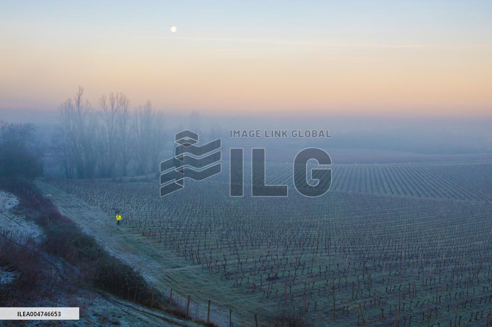 Illustration - Gironde