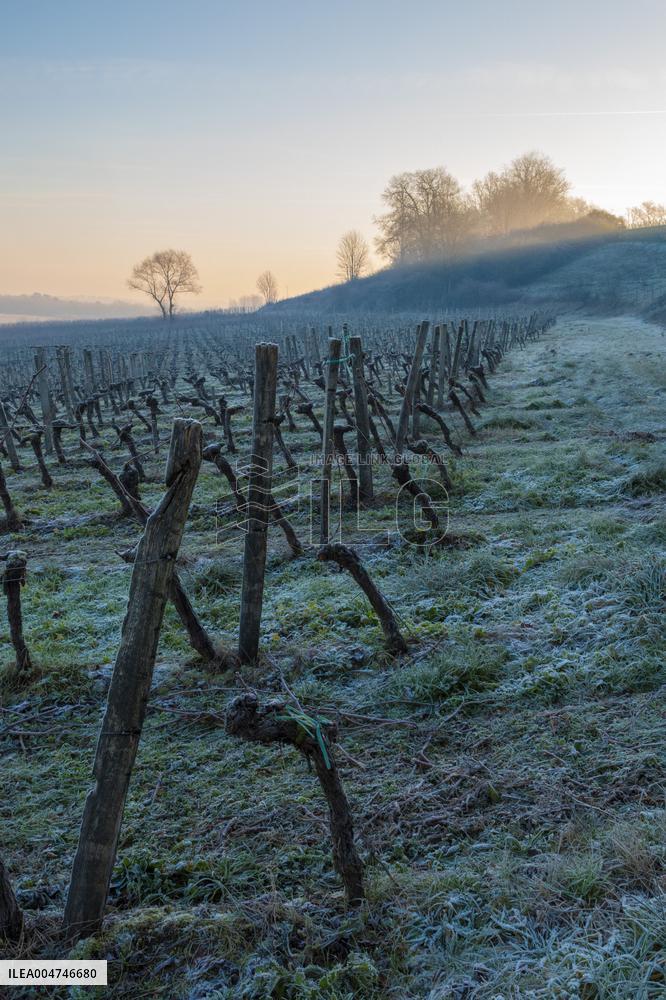 Illustration - Gironde