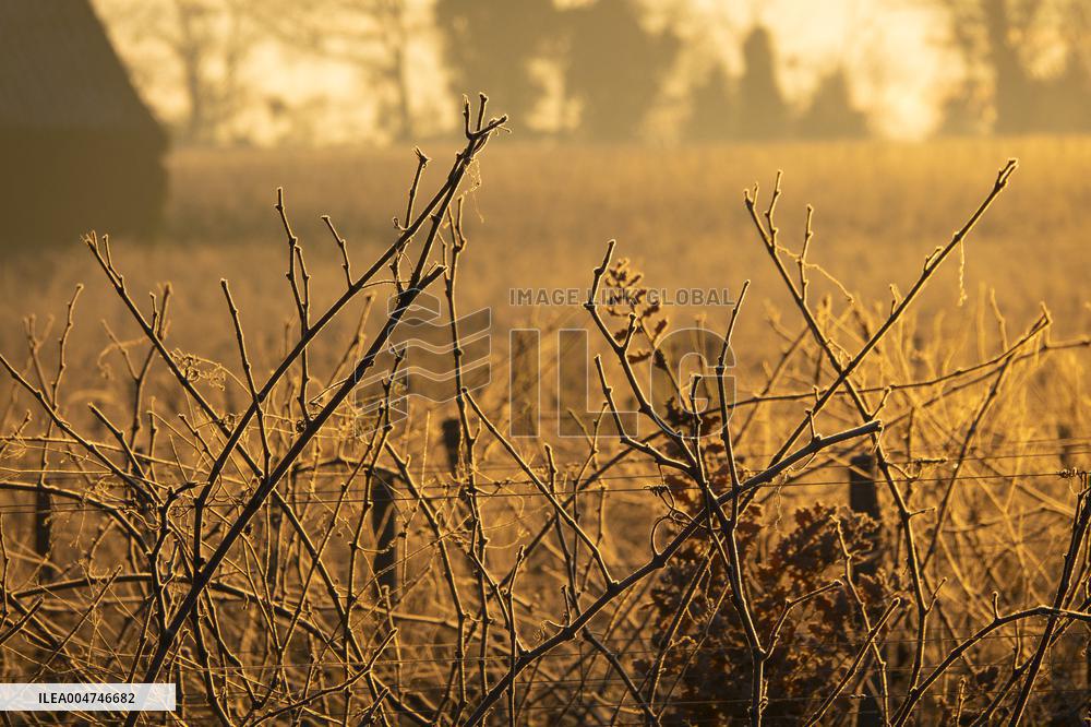 Illustration - Gironde