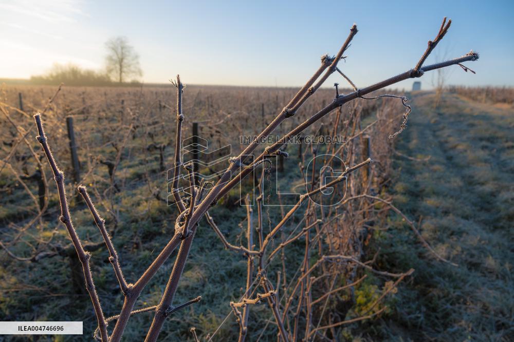 Illustration - Gironde