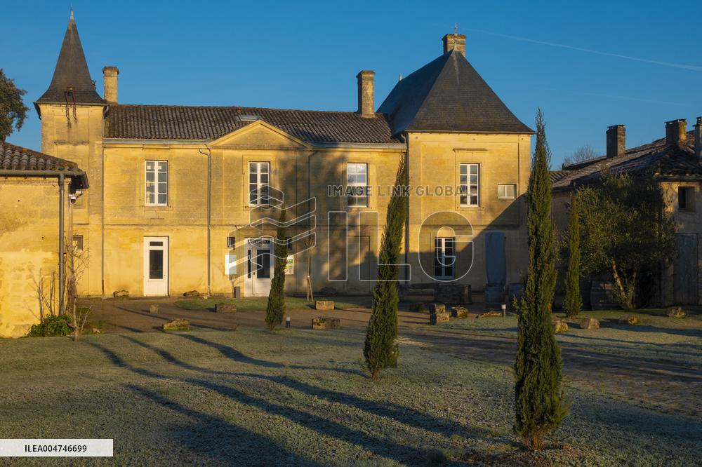 Illustration - Gironde