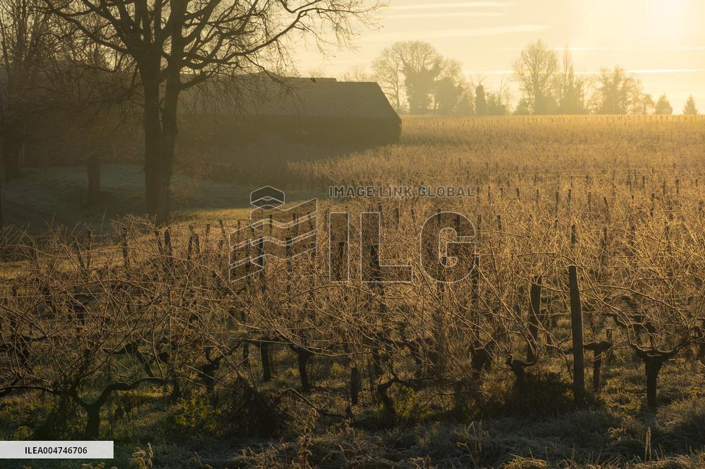 Illustration - Gironde