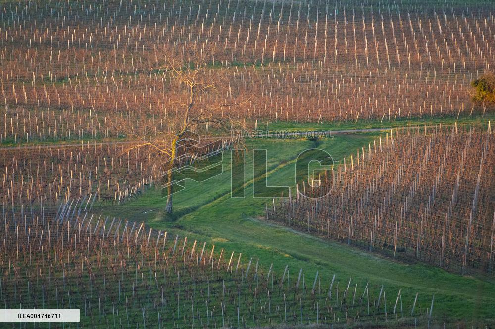 Illustration - Gironde