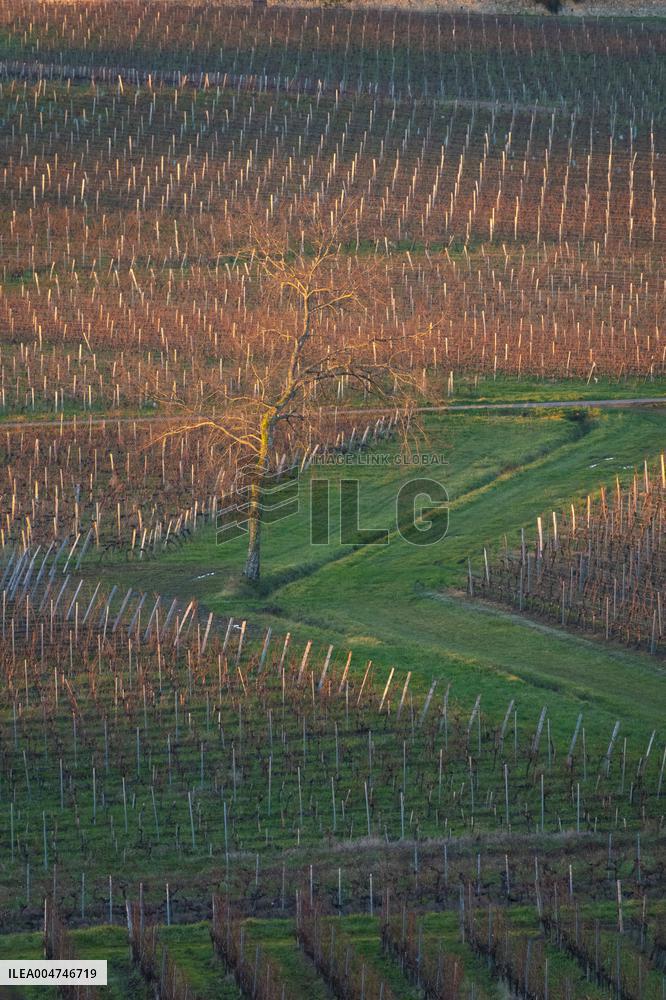 Illustration - Gironde