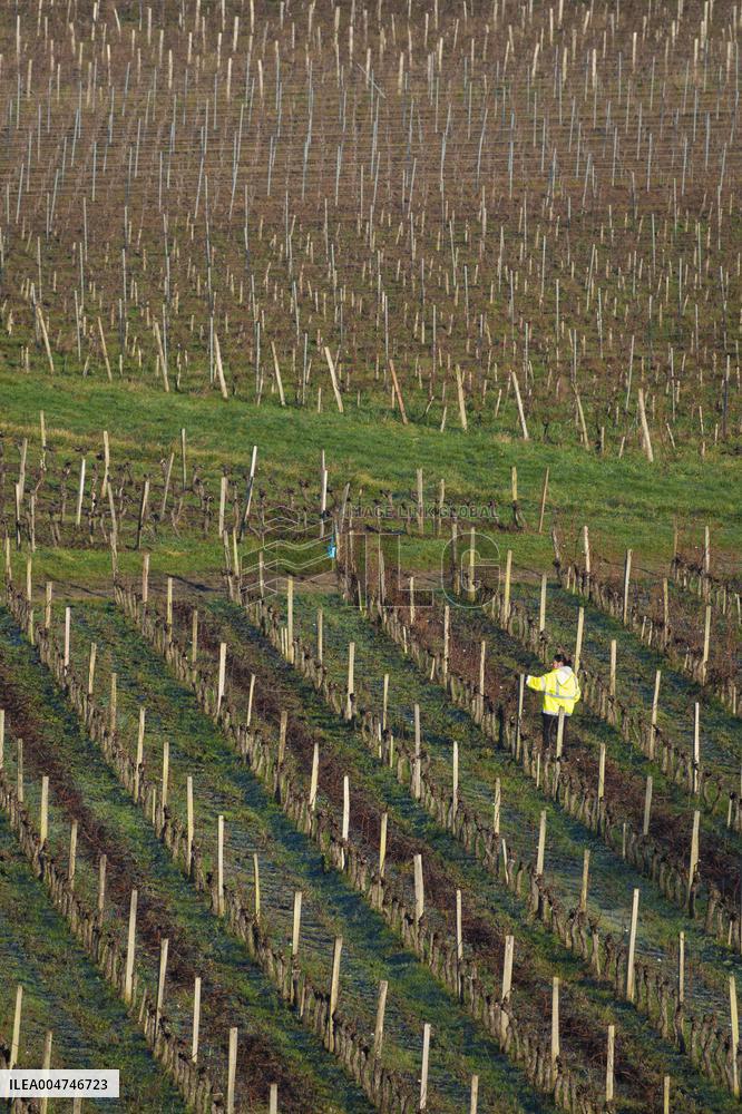 Illustration - Gironde