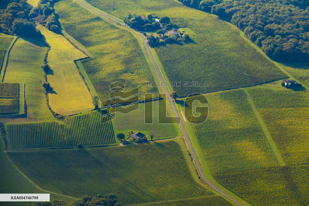 Illustration - Gironde