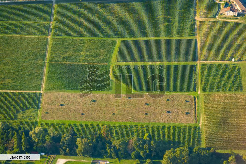 Illustration - Gironde