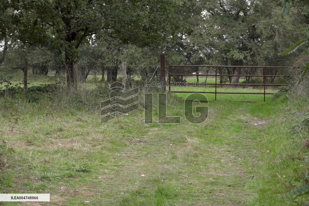 Kidnapping Alert in Orne - Child Found, Suspect Arrested in Loire-Atlantique - Montbert