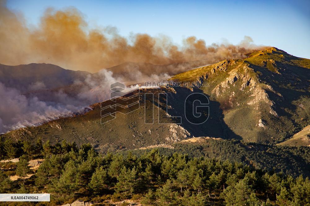 Fire in the Pico del Lobo area - Spain