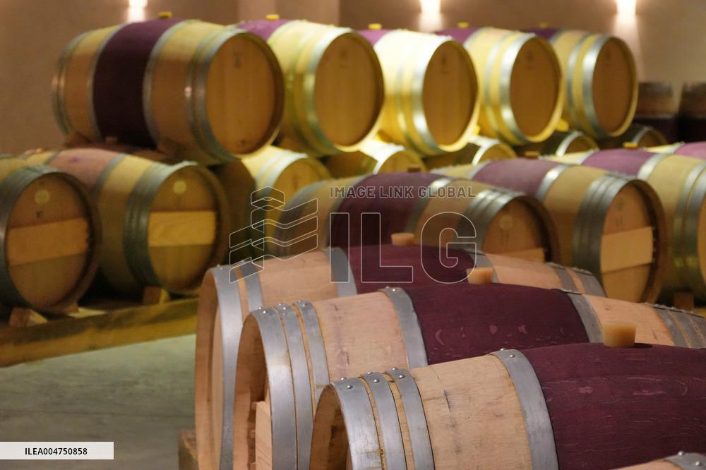 2025 Chinese Wine Industry