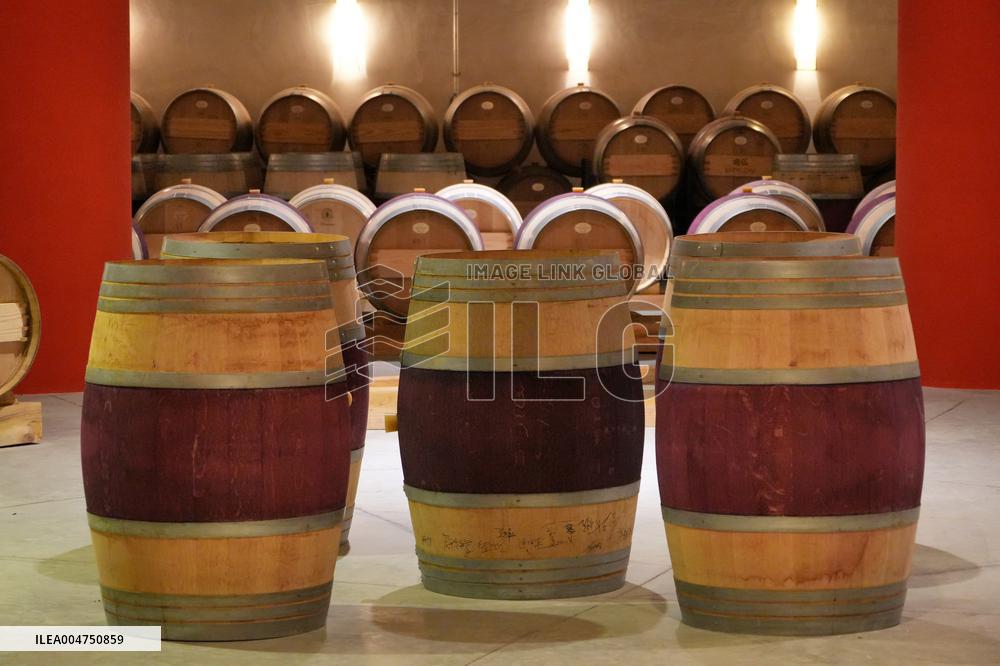 2025 Chinese Wine Industry