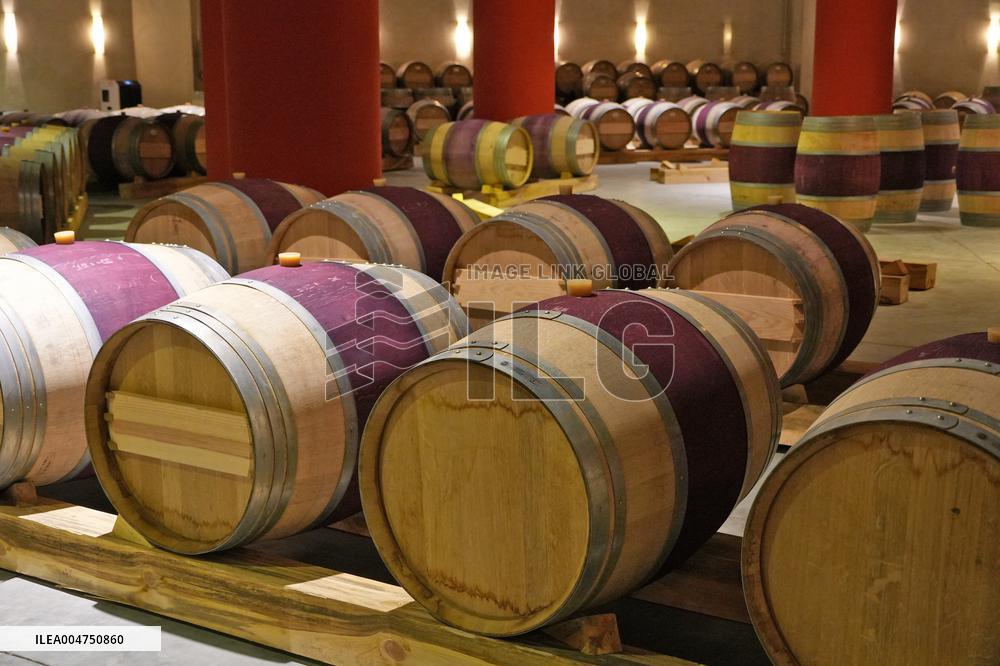 2025 Chinese Wine Industry