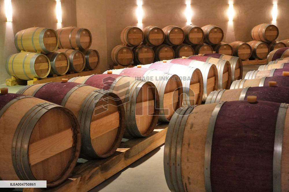 2025 Chinese Wine Industry