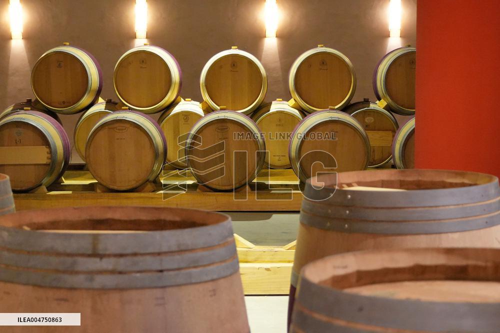 2025 Chinese Wine Industry