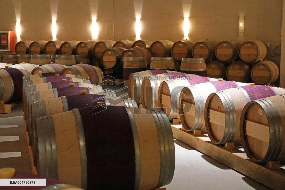 2025 Chinese Wine Industry