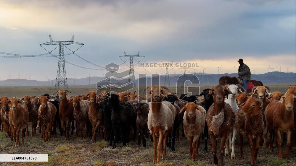 Xinjiang Clean Energy Development - China