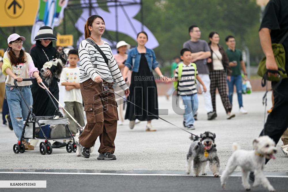Pet Party in Nanjing