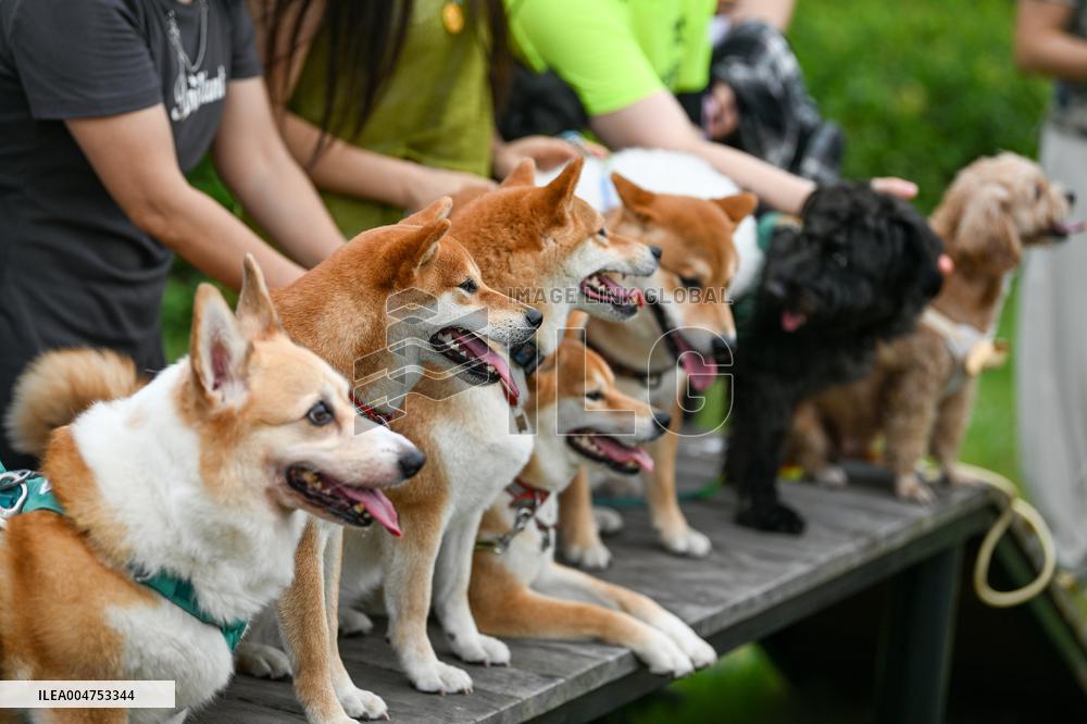 Pet Party in Nanjing