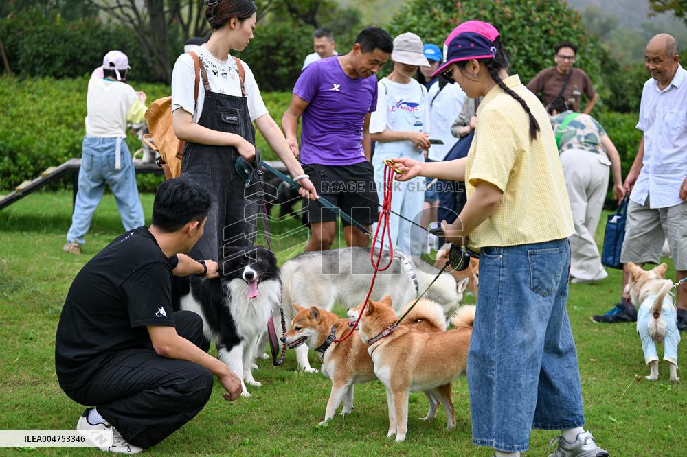 Pet Party in Nanjing