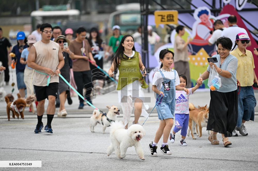 Pet Party in Nanjing