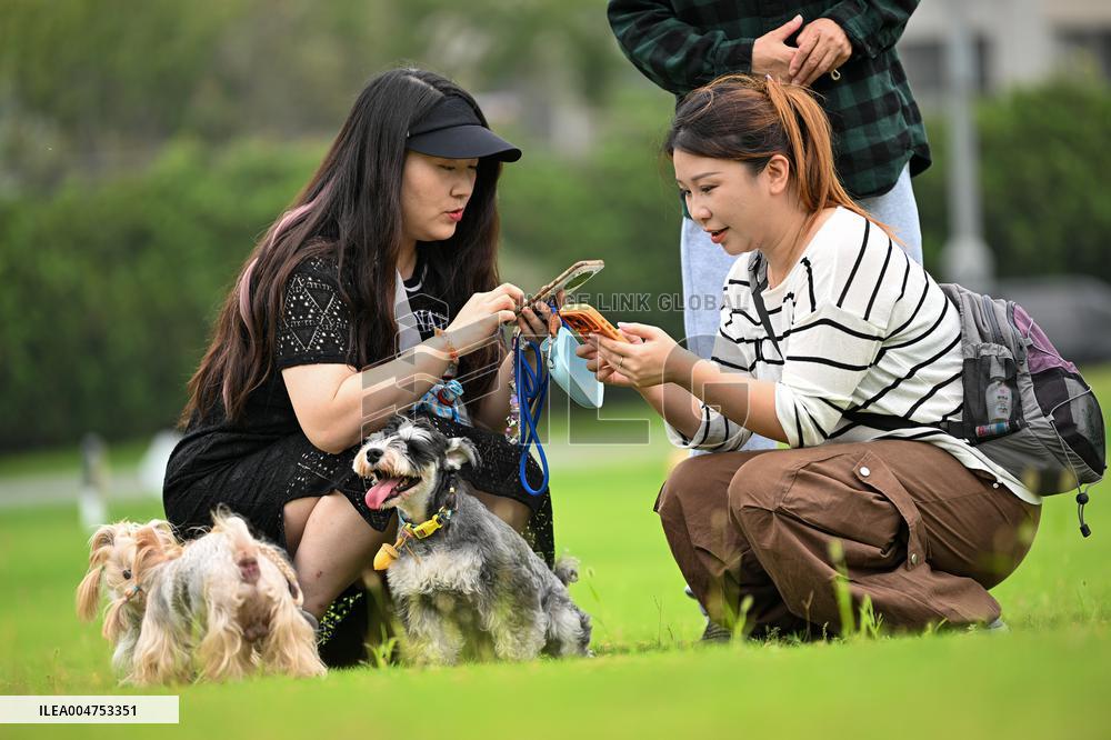 Pet Party in Nanjing