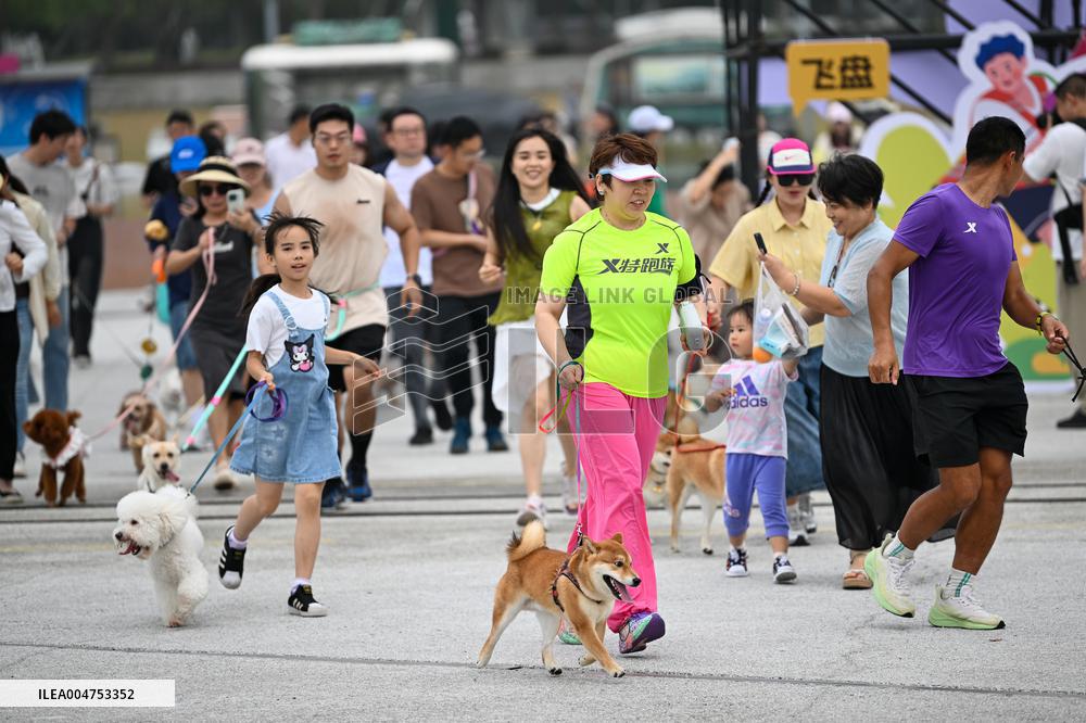 Pet Party in Nanjing