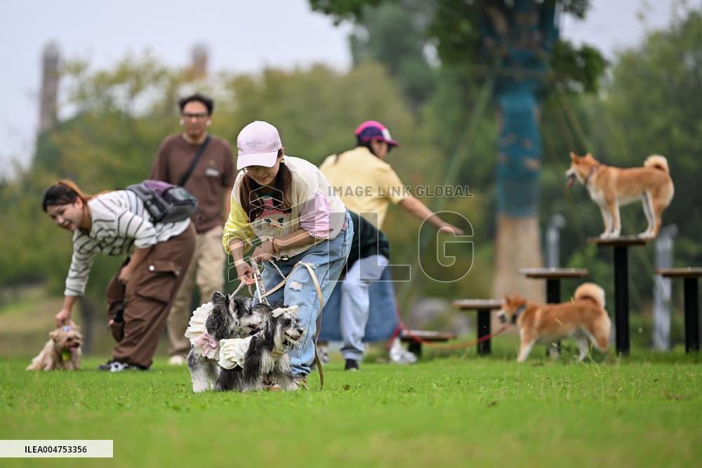 Pet Party in Nanjing