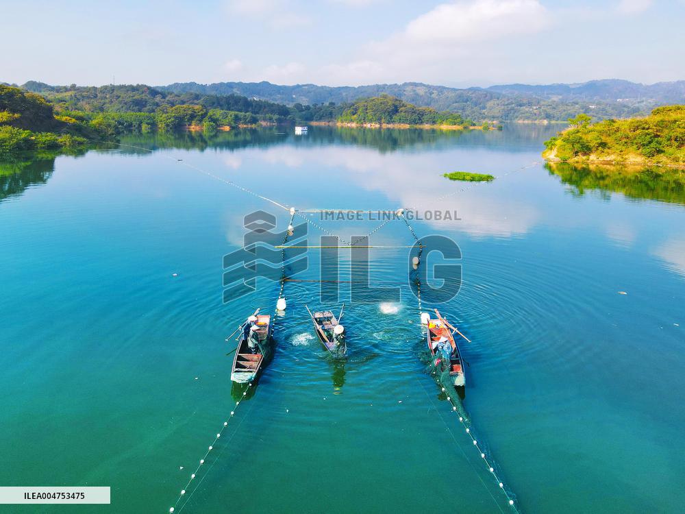 Ecological Fish Supply