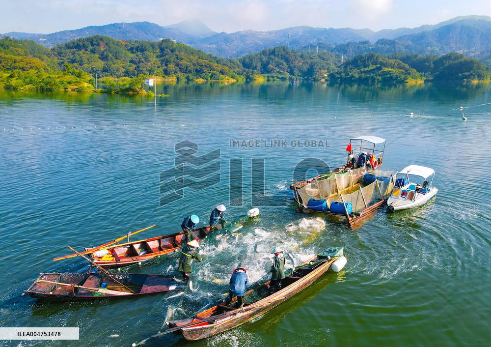 Ecological Fish Supply