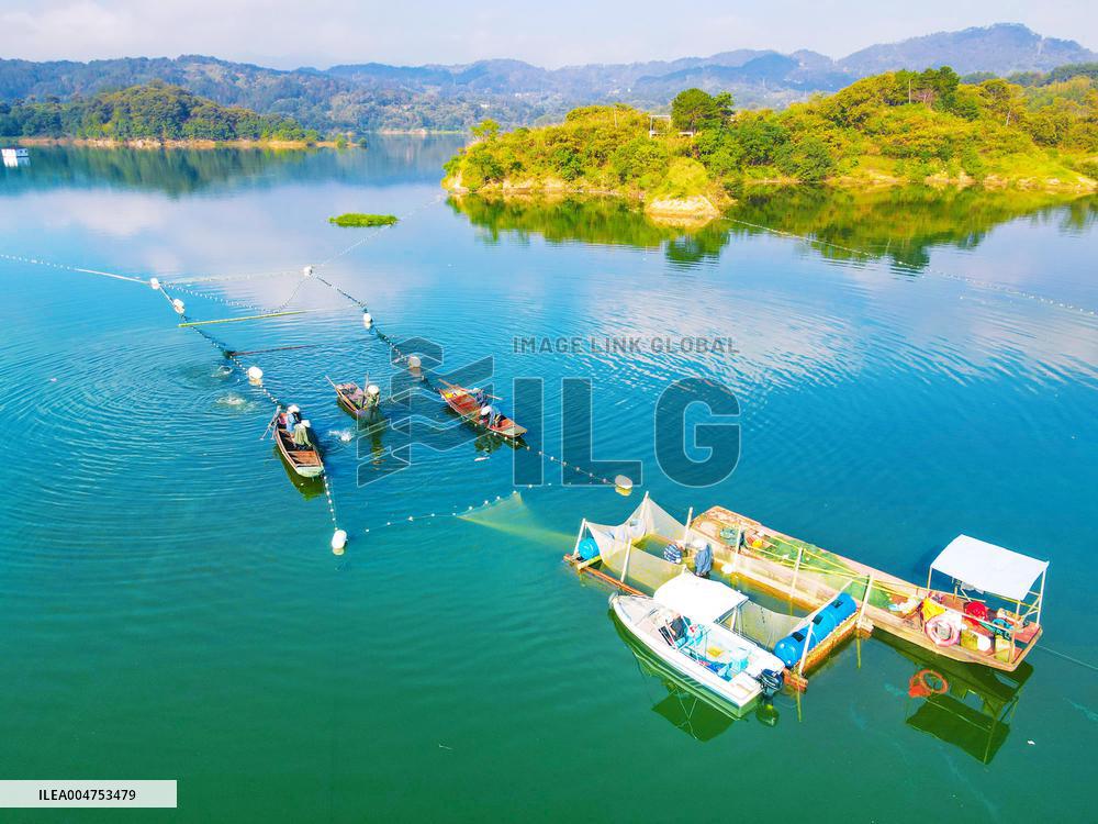 Ecological Fish Supply