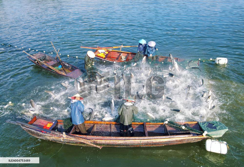 Ecological Fish Supply