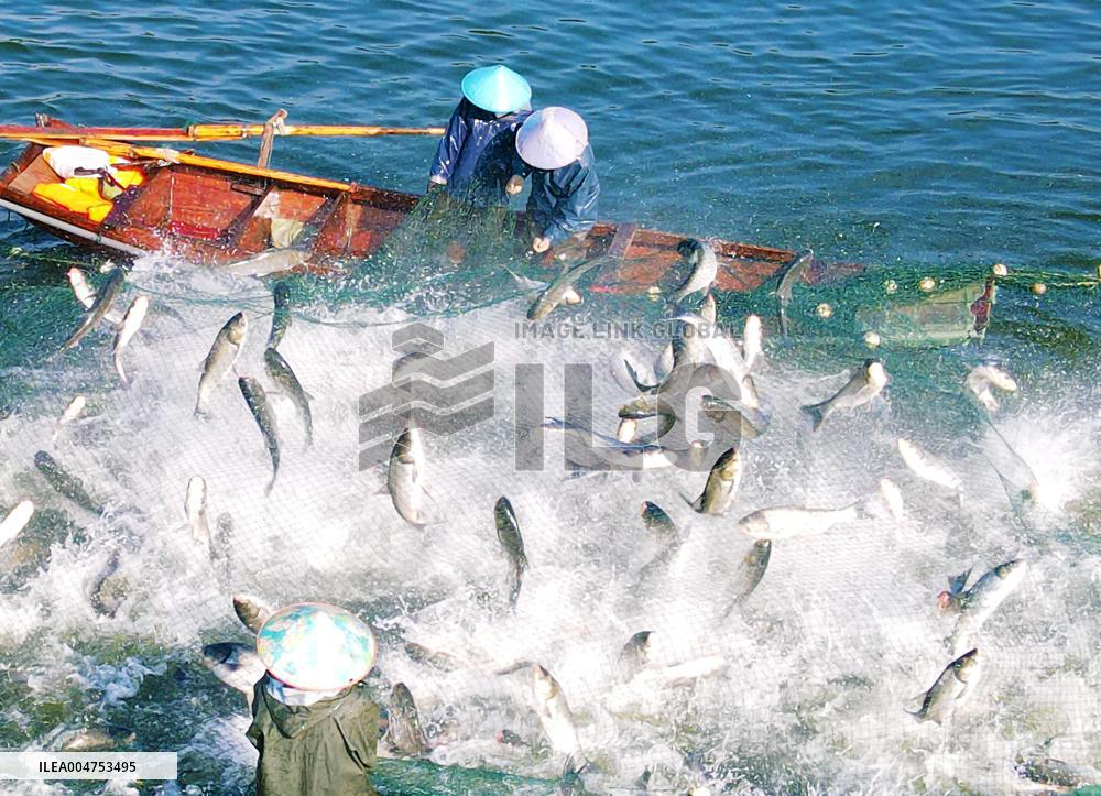 Ecological Fish Supply