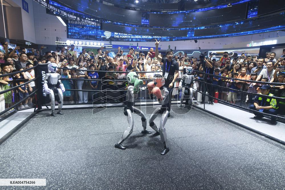 Humanoid Fighting Robot