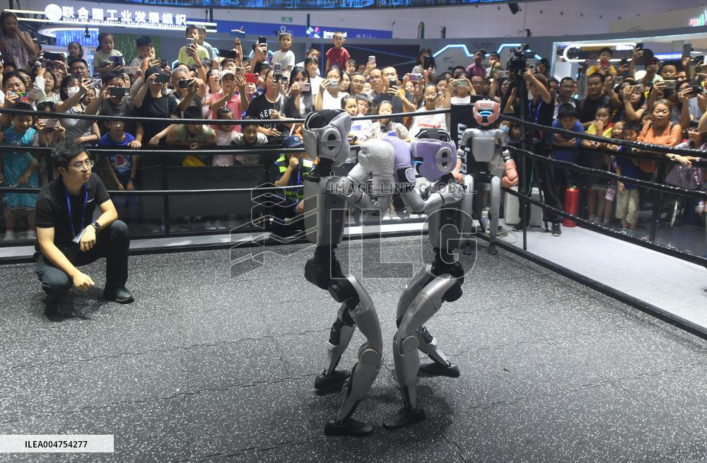 Humanoid Fighting Robot