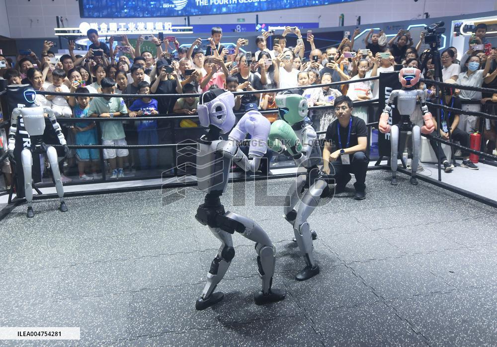 Humanoid Fighting Robot